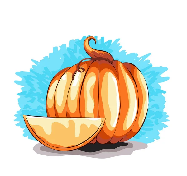 Calabaza Objeto Aislado Una Calabaza Vector Calabaza Estilo Acuarela — Archivo Imágenes Vectoriales