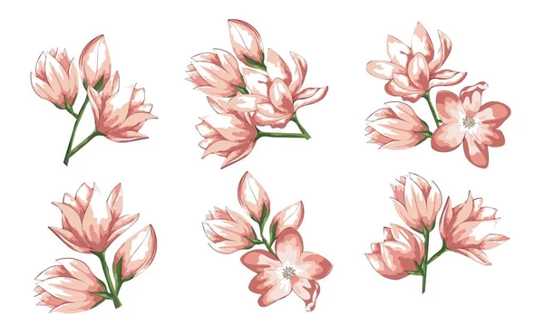 Рожева і кремова квітка. Весільна листівка векторний абстрактний елемент дизайну. ізольовані кольори для дизайну — стоковий вектор