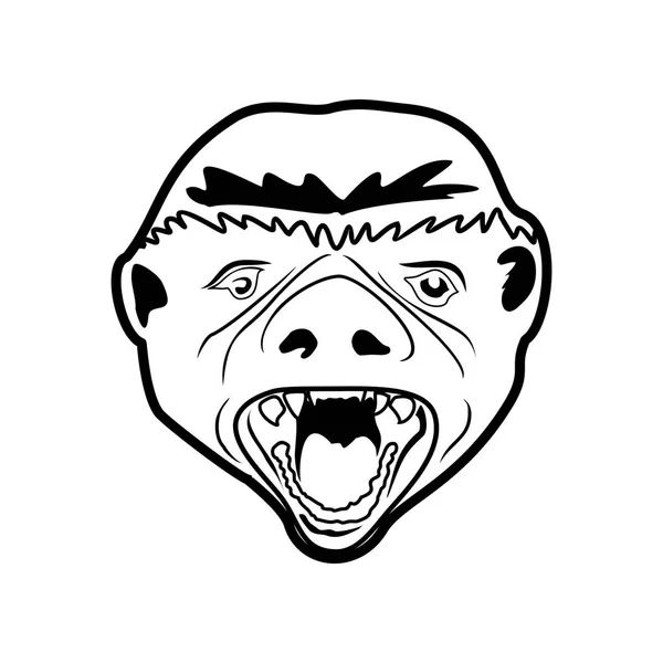 獾头插图矢量符号图形徽标设计 — 图库矢量图片