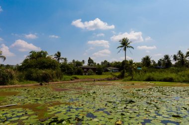 Koh Kret ada Bangkok Menam nehrinde gölde. Güney Doğu Asya seyahat.