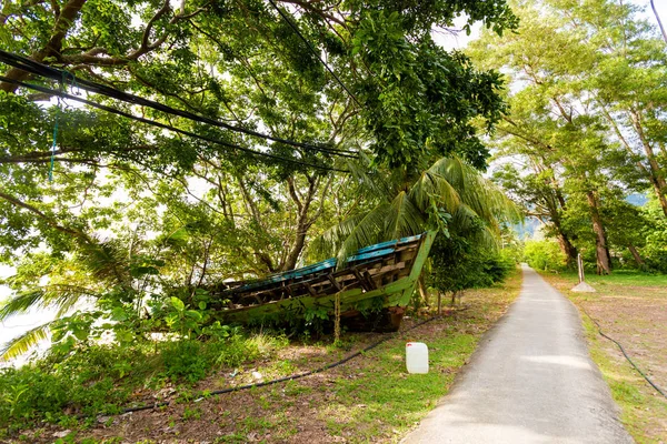 Главная Сельская Дорога Тропическом Острове Тиоман Малайзии Красивая Природа Юго — стоковое фото