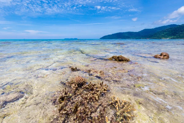말레이시아 산호초와 Tekek 비치에 아시아의 — 스톡 사진
