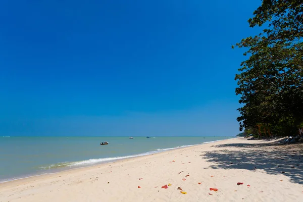 Paysage Sur Plage Batu Ferringhi Sur Île Penang Malaisie Beau — Photo