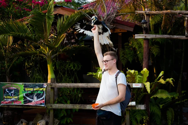 美しいオウム サイチョウがマレーシアのパンコール島に供給します 東南アジアの野生動物鳥 — ストック写真