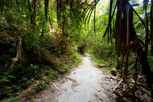 Jungle Trekking Naar Verborgen Geheime Strand Pangkor Eiland Maleisië Prachtige — Stockfoto