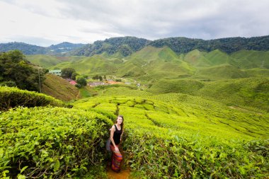 Cameron Highlands bir Bharat çay çiftlikte Genç turist ile Dağları Milli Parkı Malezya'manzara. Güney Doğu Asya'nın tarım.