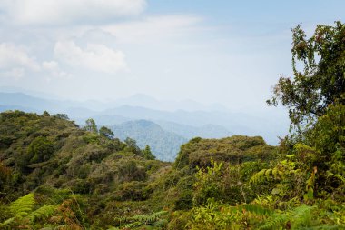 Gunung Jasdar Cameron Highlands Dağları Milli Parkı Malezya'nda yürüyüş sırasında alınan güzel manzara. Güney Doğu Asya seyahat.