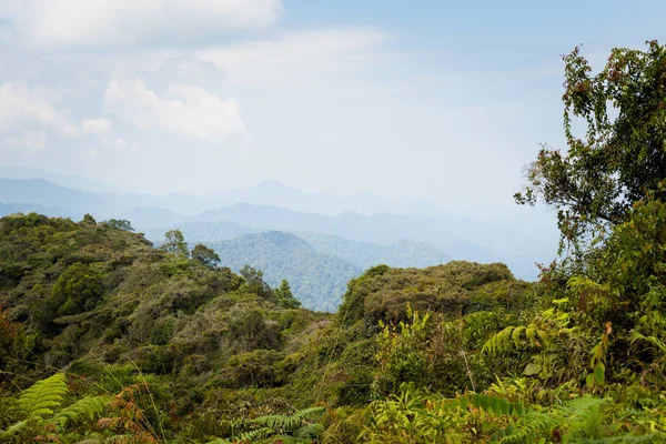 Gunung Jasdar 말레이시아에서 공원에서 하이랜드 산에서에 트레킹 아시아에 — 스톡 사진