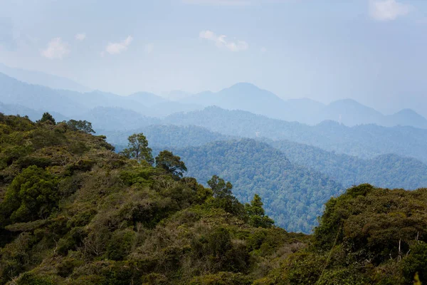 Hermoso Paisaje Tomado Durante Trekking Gunung Jasdar Las Montañas Cameron —  Fotos de Stock