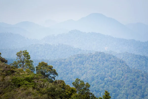 グヌン Jasdar キャメロン ハイランド山中マレーシアの国立公園でのトレッキング中に撮影した美しい風景です 東南アジアに旅行 — ストック写真