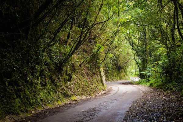 Wunderschöne Landschaft Aufgenommen Während Einer Wanderung Durch Bemooste Wälder Hochland — Stockfoto