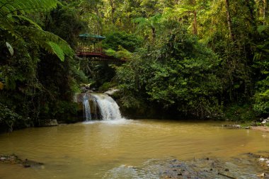 Parit Falls Cameron Highlands Dağları Milli Parkı Malezya'nda yürüyüş sırasında alınan güzel manzara. Güney Doğu Asya seyahat.