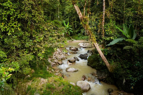 Hermoso Paisaje Tomado Durante Trekking Parit Falls Las Montañas Cameron — Foto de Stock