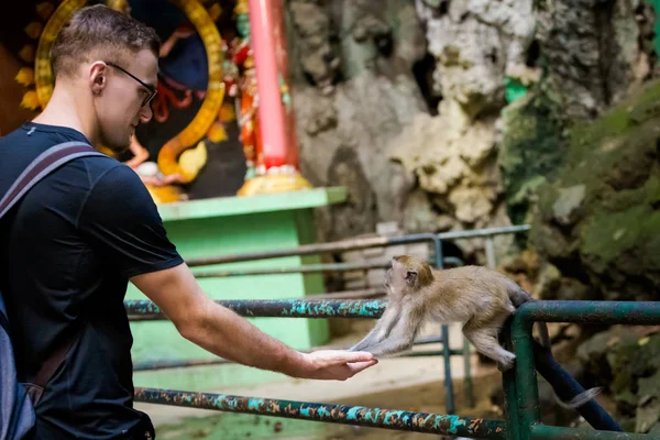 Kuil Batu Caves Ibu Kota Kuala Lumpur Malaysia Memberi Makan — Stok Foto