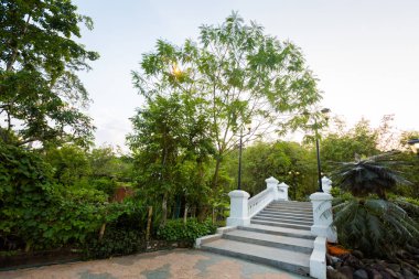 Malezya Kuala Lumpur sermaye city central Park'ta güzel manzara. Güney Doğu Asya güzel yer.