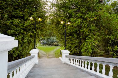 Malezya Kuala Lumpur sermaye city central Park'ta güzel manzara. Güney Doğu Asya güzel yer.