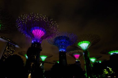 Defne supertree grove ışık bahçelerle geceleri Singapur'da ortaya. Güney Doğu Asya modern futuristik cityscape.