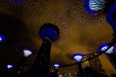 Defne supertree grove ışık bahçelerle geceleri Singapur'da ortaya. Güney Doğu Asya modern futuristik cityscape.