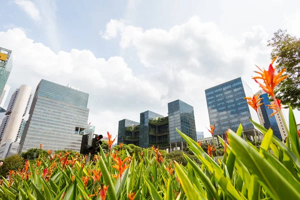 Schöne Moderne Futuristische Architektur Von Singapore Stadtbild Südostasien — Stockfoto