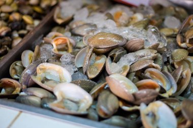 Krabi town yerel piyasada kabuklarında taze çiğ Asya midye. Taze malzemelerle yapılan geleneksel Tayland mutfağı.