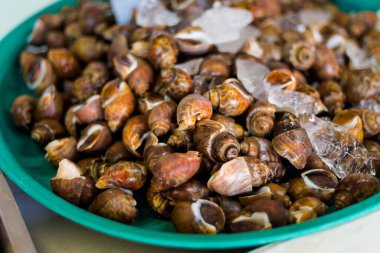 Krabi town yerel piyasada kabuklarında taze çiğ Asya midye. Taze malzemelerle yapılan geleneksel Tayland mutfağı.