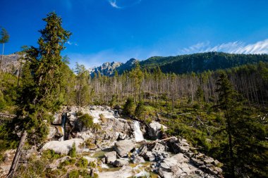 Güzel Velka Studena Dolina - Slovakça yüksek Tatra Dağları. Güzel yaz panorama - Hrebeniok üzerinden Stary Smokovec yolundan Zbojnicka Chata için