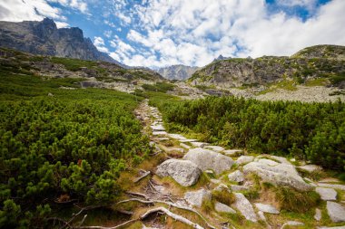Güzel Velka Studena Dolina - Slovakça yüksek Tatra Dağları. Güzel yaz panorama - Hrebeniok üzerinden Stary Smokovec yolundan Zbojnicka Chata için