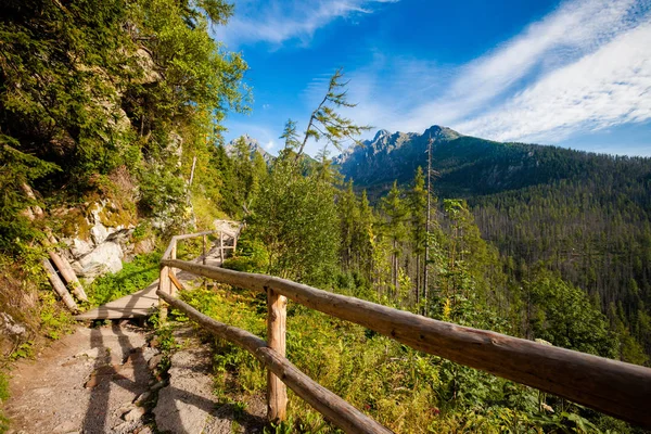 Krásná Velká Studena Dolina Slovenských Vysokých Tatrách Krásné Letní Panorama — Stock fotografie