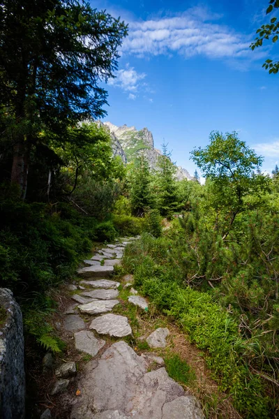 美丽的 Velka Dolina 在斯洛伐克高 Tatra 美丽的夏季全景 从飞鸟 Smokovec Hrebienok Zbojnicka — 图库照片