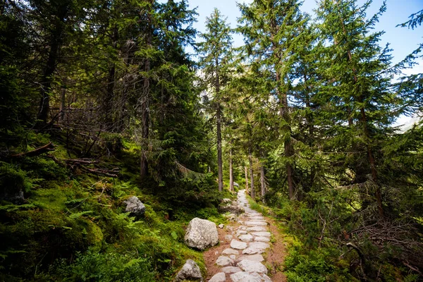 Bella Velka Studena Dolina Nelle Montagne Slovacche Dell Alto Tatra — Foto Stock