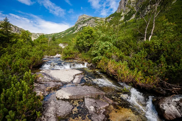 Piękny Velkej Studenej Dolina Słowackie Tatry Wysokie Piękne Lato Panorama — Zdjęcie stockowe