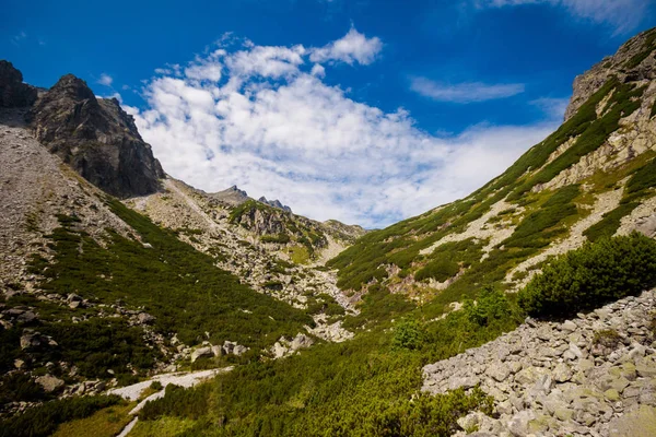 Vackra Velka Studena Dolina Slovakiska Höga Tatrabergen Vacker Sommar Panorama — Stockfoto