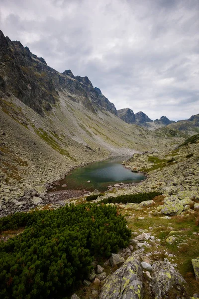 Indah Velka Studena Dolina Lereng Tinggi Tatra Pegunungan Panorama Musim — Stok Foto