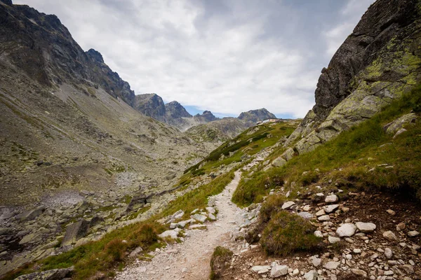 Schöne Velka Studena Dolina Der Slowakischen Hohen Tatra Schönes Sommerpanorama — Stockfoto