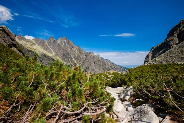 美丽的 Velka Dolina 在斯洛伐克高 Tatra 美丽的夏季全景 从飞鸟 Smokovec Hrebienok Zbojnicka — 图库照片