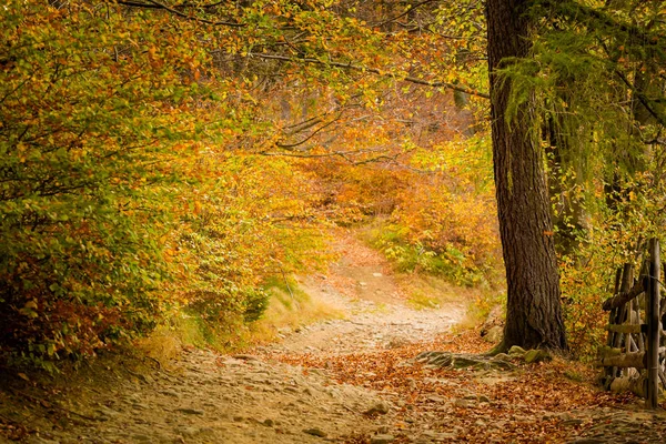 Beskidy Grabowa ポーランドで撮影した秋の風景写真 — ストック写真