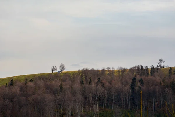 Осінній Краєвид Сфотографуватися Польській Гори Бескиди Grabowa — стокове фото
