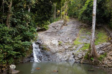 Kokmuş Durian Perangin şelale Malezya Tropikal Langkawi adasında. Güney Doğu Asya'nın güzel doğa.
