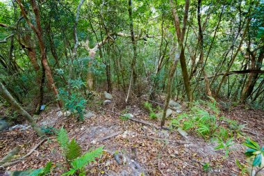 Üst skycab yolculuğu sırasında Malezya Tropikal Langkawi Adası üzerinde gerçekleştirilen manzara. Güney Doğu Asya'nın güzel doğa.