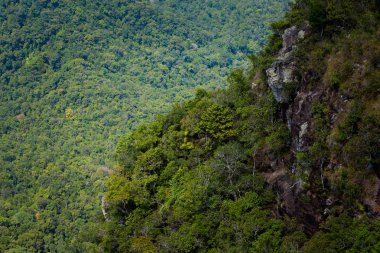 Üst skycab yolculuğu sırasında Malezya Tropikal Langkawi Adası üzerinde gerçekleştirilen manzara. Güney Doğu Asya'nın güzel doğa.