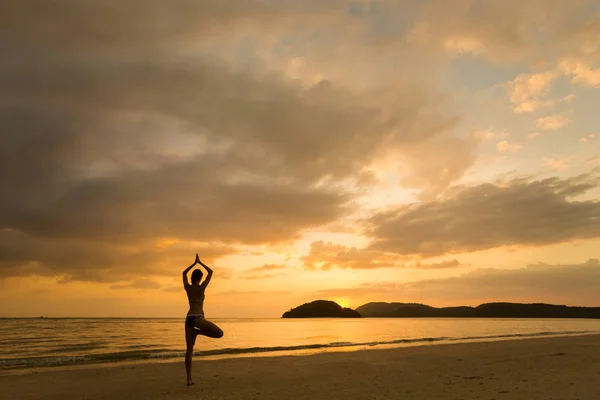 在马来西亚热带兰卡威岛的潘泰塞南海滩上练习瑜伽的年轻女孩 日落时东南亚的美丽自然 Vriksha Asana 树的姿势 — 图库照片#