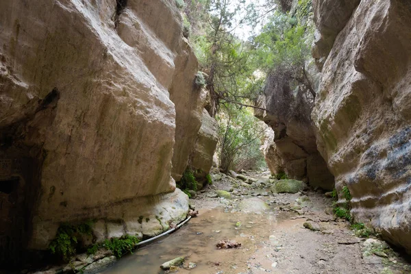 Güzel Avakas Gorge Vadisi doğa yürüyüşü sırasında. Kıbrıs Adası'nda alınan manzara.