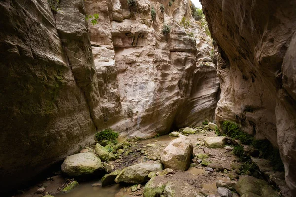 Güzel Avakas Gorge Vadisi doğa yürüyüşü sırasında. Kıbrıs Adası'nda alınan manzara.