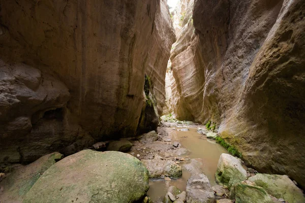 Güzel Avakas Gorge Vadisi doğa yürüyüşü sırasında. Kıbrıs Adası'nda alınan manzara.