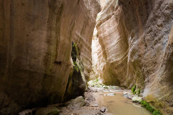 Belo Vale Avakas Gorge Durante Trekking Paisagem Tomada Ilha Chipre — Fotografia de Stock