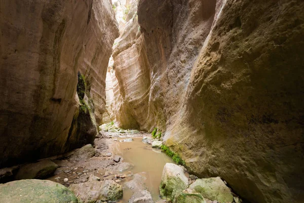 Schöne Avakas Schlucht Tal Während Des Trekkings Landschaft Auf Der — Stockfoto