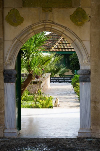 Hermosa Arquitectura Mezquita Hala Sultan Tekke Lago Sal Akrotiri Larnaca — Foto de Stock