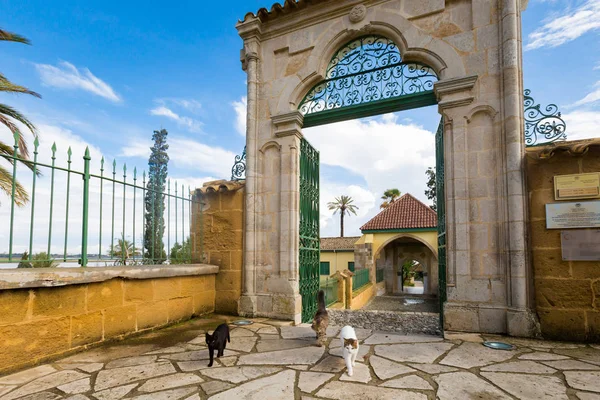 在拉纳卡的阿克罗蒂里盐湖上的清真寺 Hala Sultan Tekke 美丽的建筑 在塞浦路斯岛上的寺庙 — 图库照片