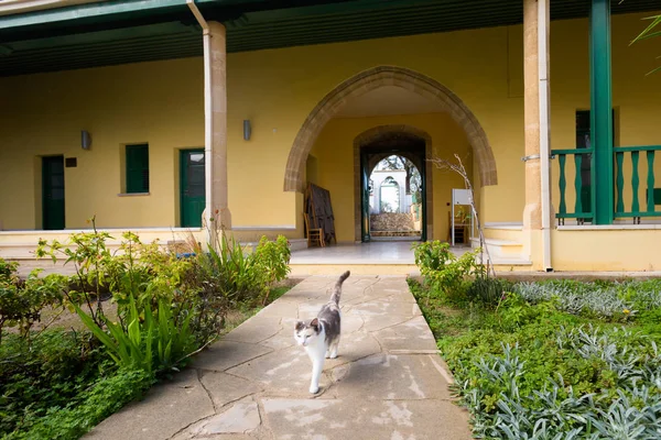 Güzel Mimari Camii Hala Sultan Tekke Akrotiri Larnaka Tuz Gölü — Stok fotoğraf