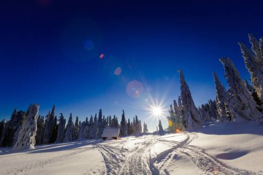 Alınan güzellikler Lehçe dağlar Beskidy Rysianka giderken karlı kış aylarında. Doğa yürüyüşü sırasında yakalanan manzara.